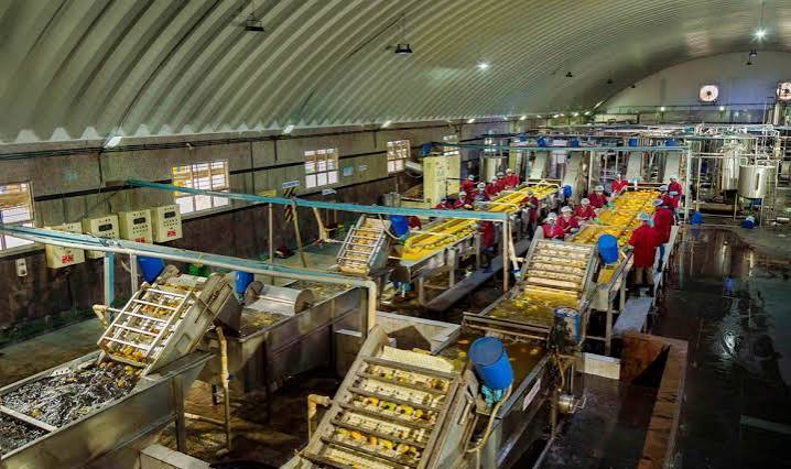 Food Processing Refrigeration Chennai
